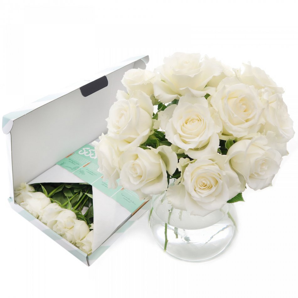 Witte Brievenbusrozen