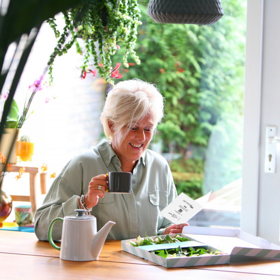 Roze Brievenbusrozen