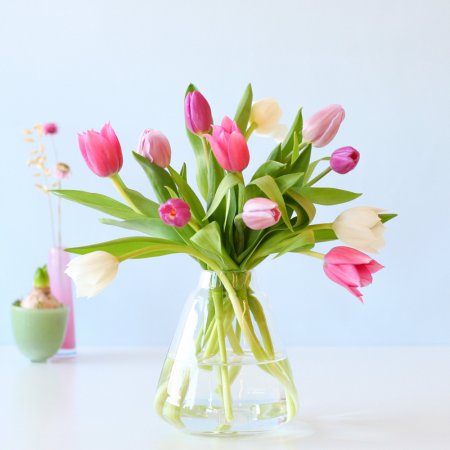 Tulpen Pastel
