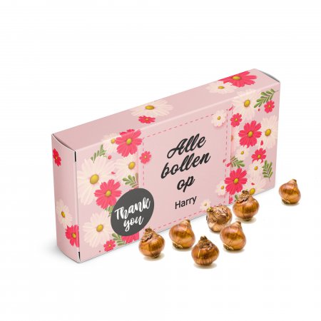 Alle bollen op... Bolkado