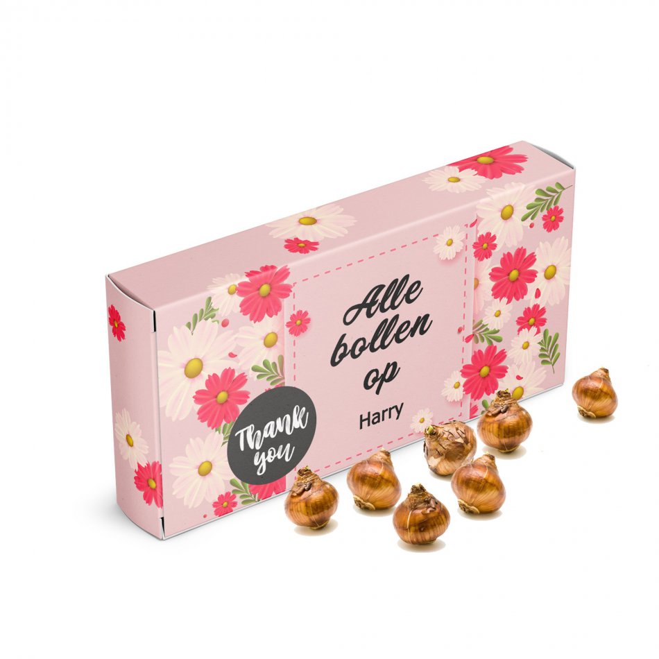 Alle bollen op... Bolkado