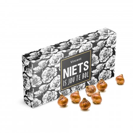 Niets is jou te Bol... Bolkado