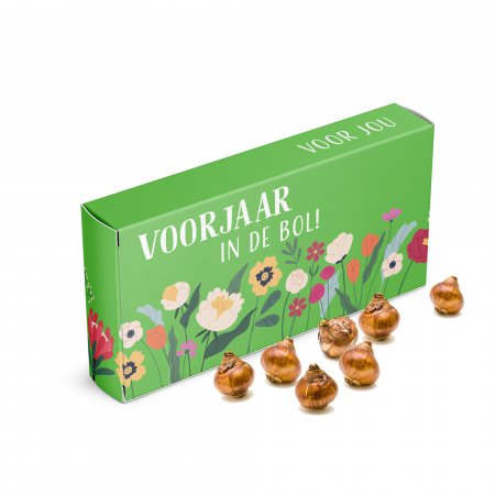 Voorjaar in de bol... Bolkado