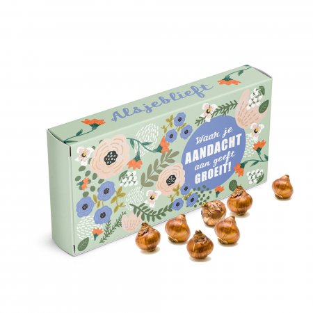 Waar je aandacht aan geeft groeit... Bolkado