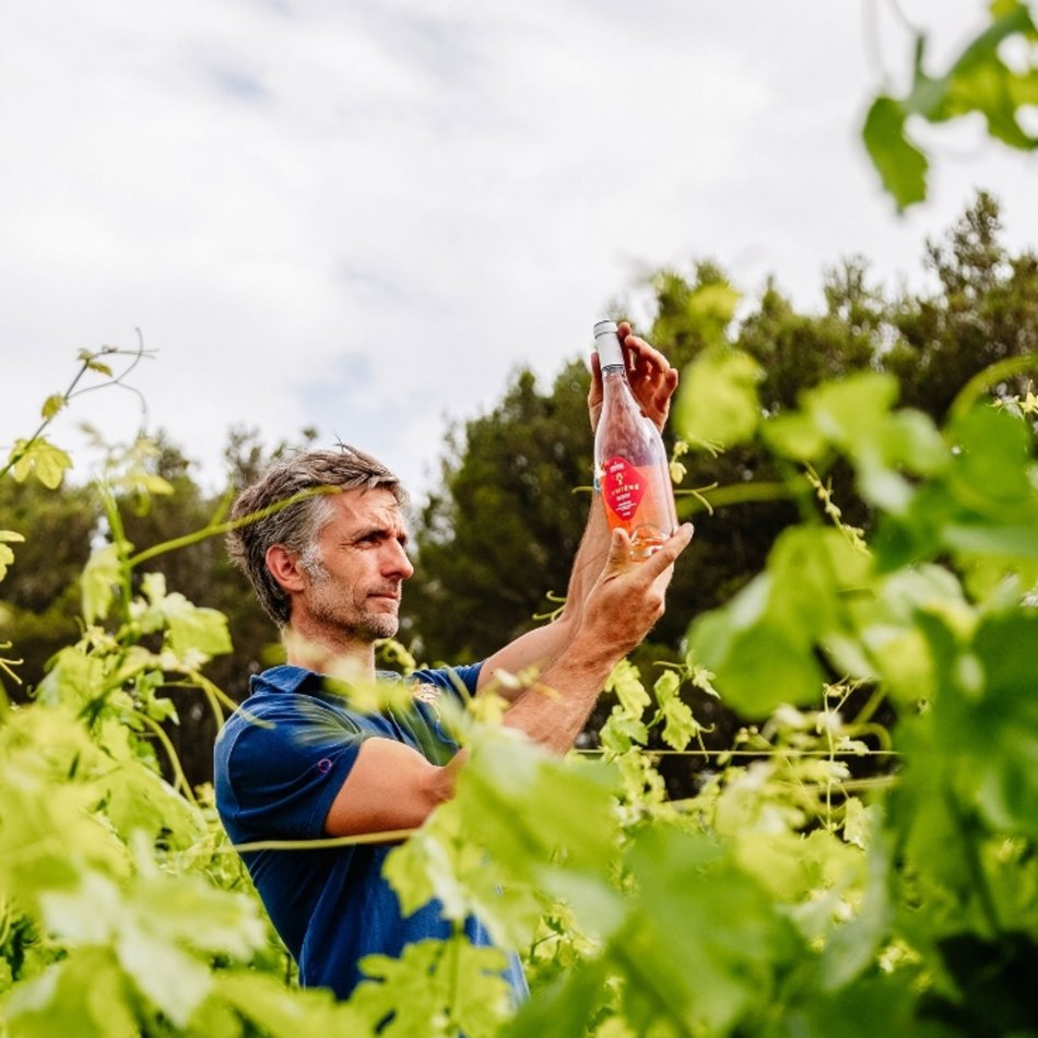 Neleman Lumière Rosé Organic