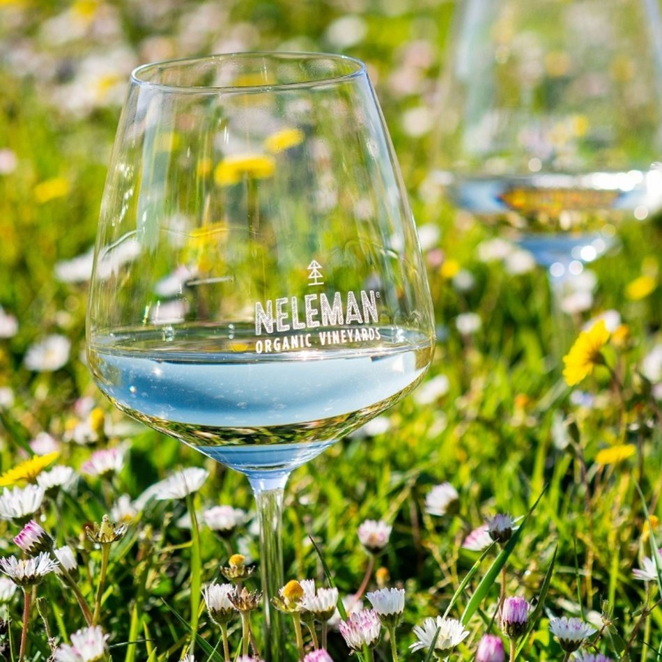 Neleman Edition d'Art Viognier Organic 